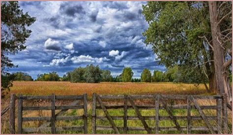 What is severance tax in oil and gas?